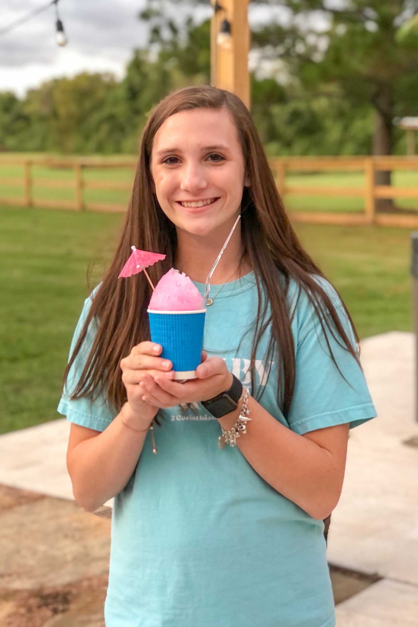 Shave Ice Fun